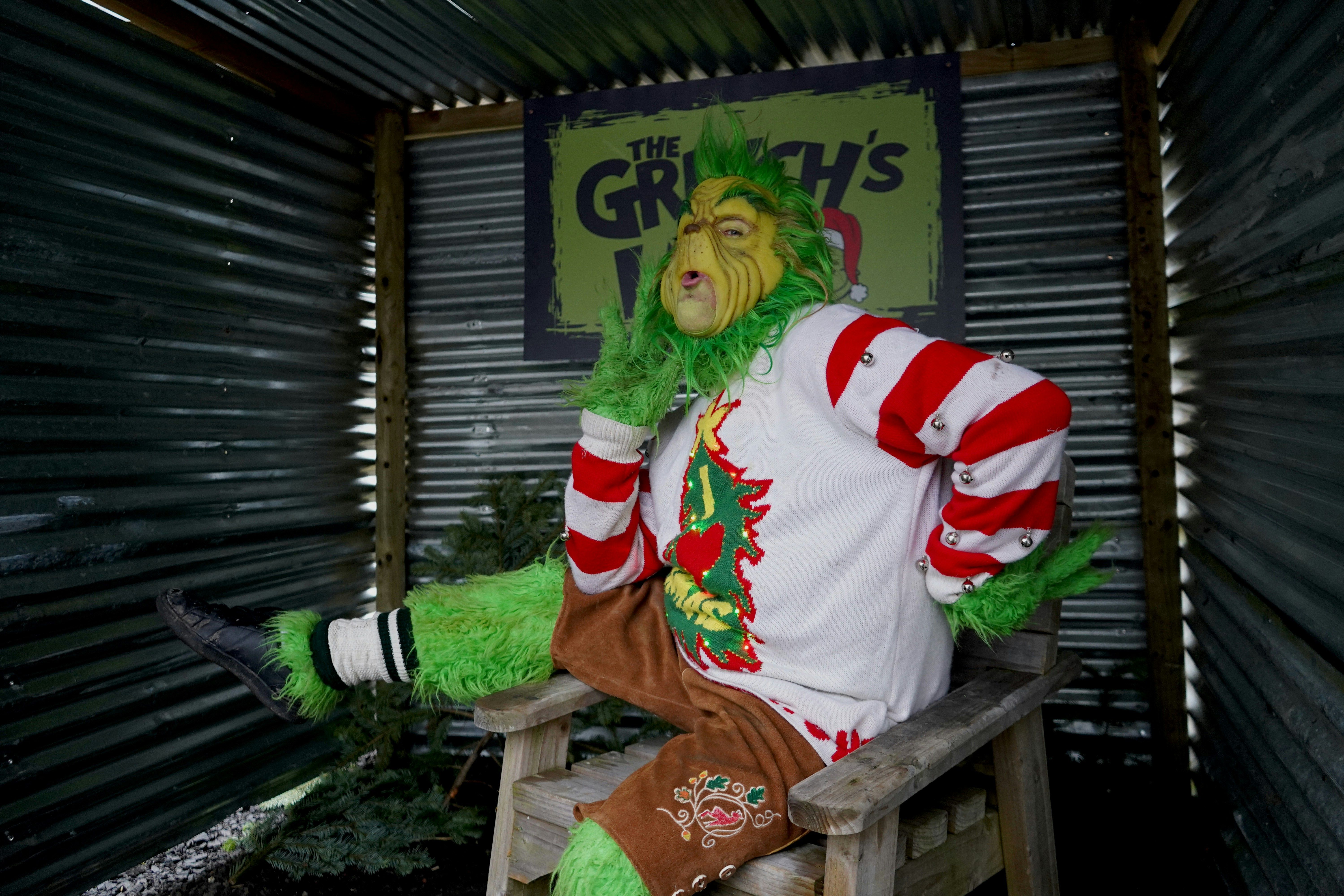 image of the grinch posing on a wooden chair